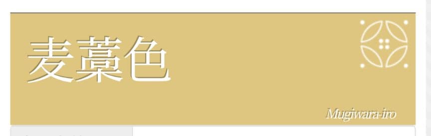 アン☆【極美品】色無地フルセット　正絹　袷　一つ紋　地紋　唐織六通袋帯