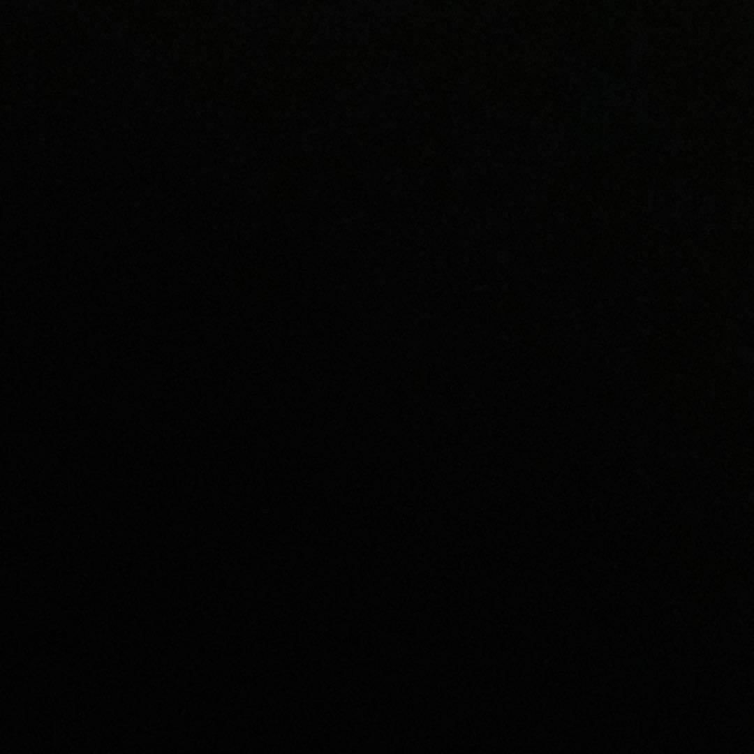 ルイヴィトン “アトマイザー本体” メンズ シルバー ブラック 黒 銀