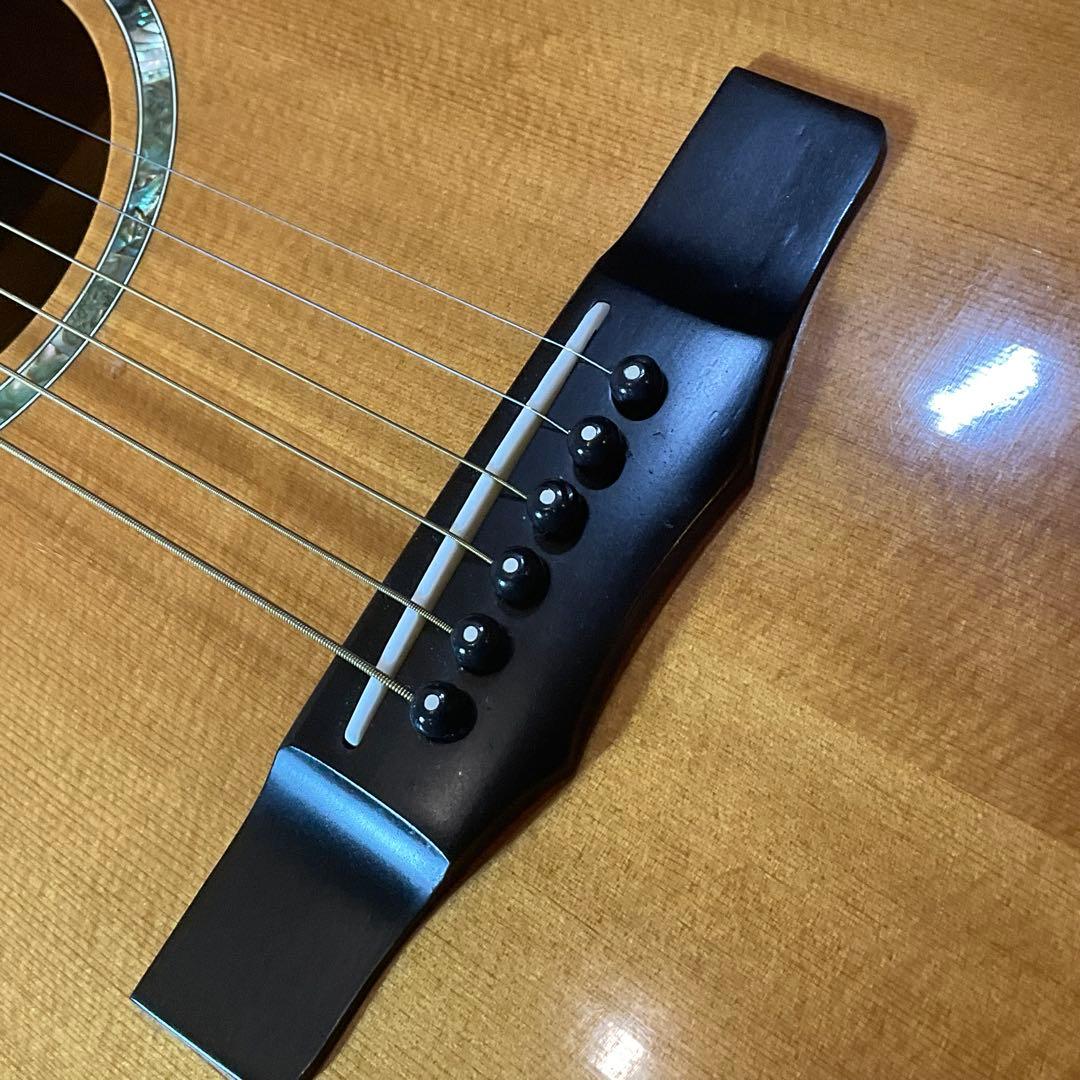 モーリス Morris M-60T アコースティックギター ハードケース アコギ