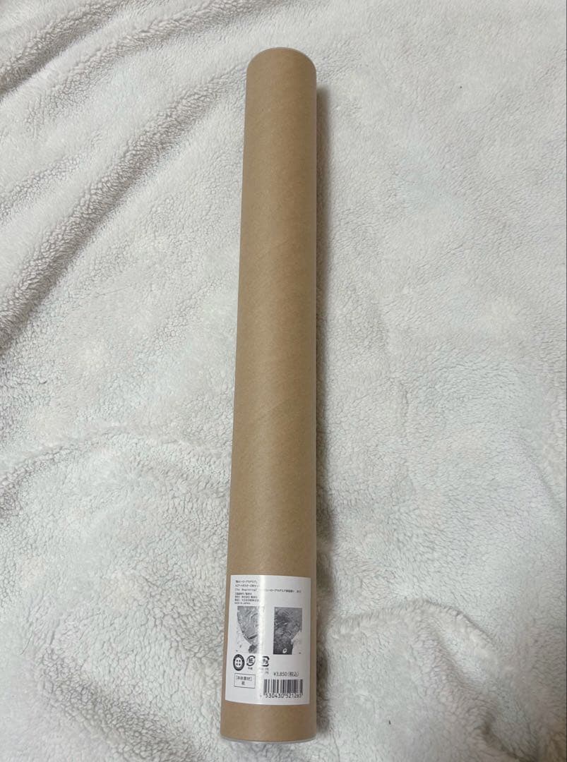 ヒロアカ 原画展 A2 アートポスター 2枚 セット The Beginning