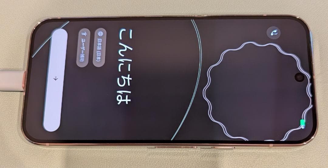 Google Pixel 9 Pro 512GB 色:porcelain