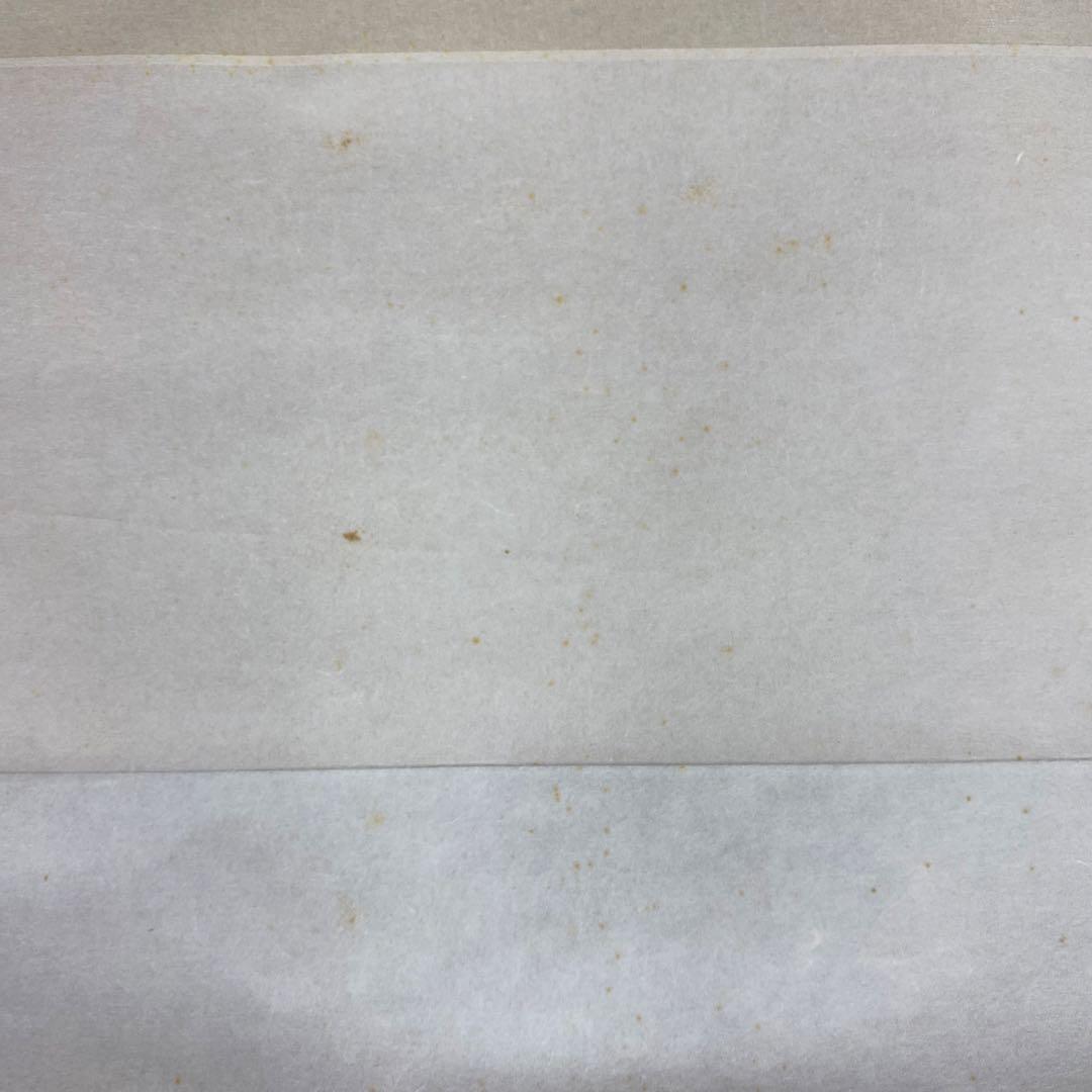 美品 掛け軸 中島千波筆「臥龍桜」名画 解説付 縁起物 日本画