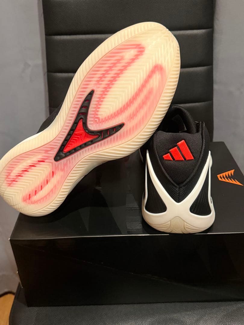 adidas AE2　バッシュ　バスケットボール