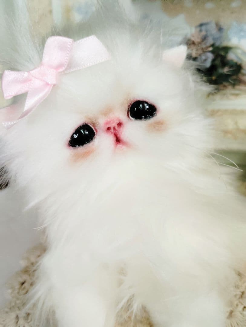 可愛いキャンディちゃん❤エキゾチック子猫ちゃん♡アートドール♡ぬいぐるみ♡