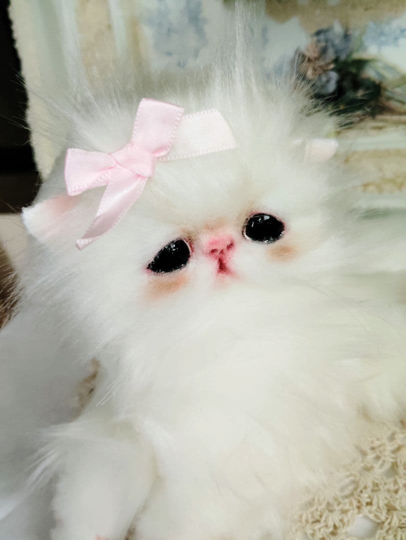 可愛いキャンディちゃん❤エキゾチック子猫ちゃん♡アートドール♡ぬいぐるみ♡