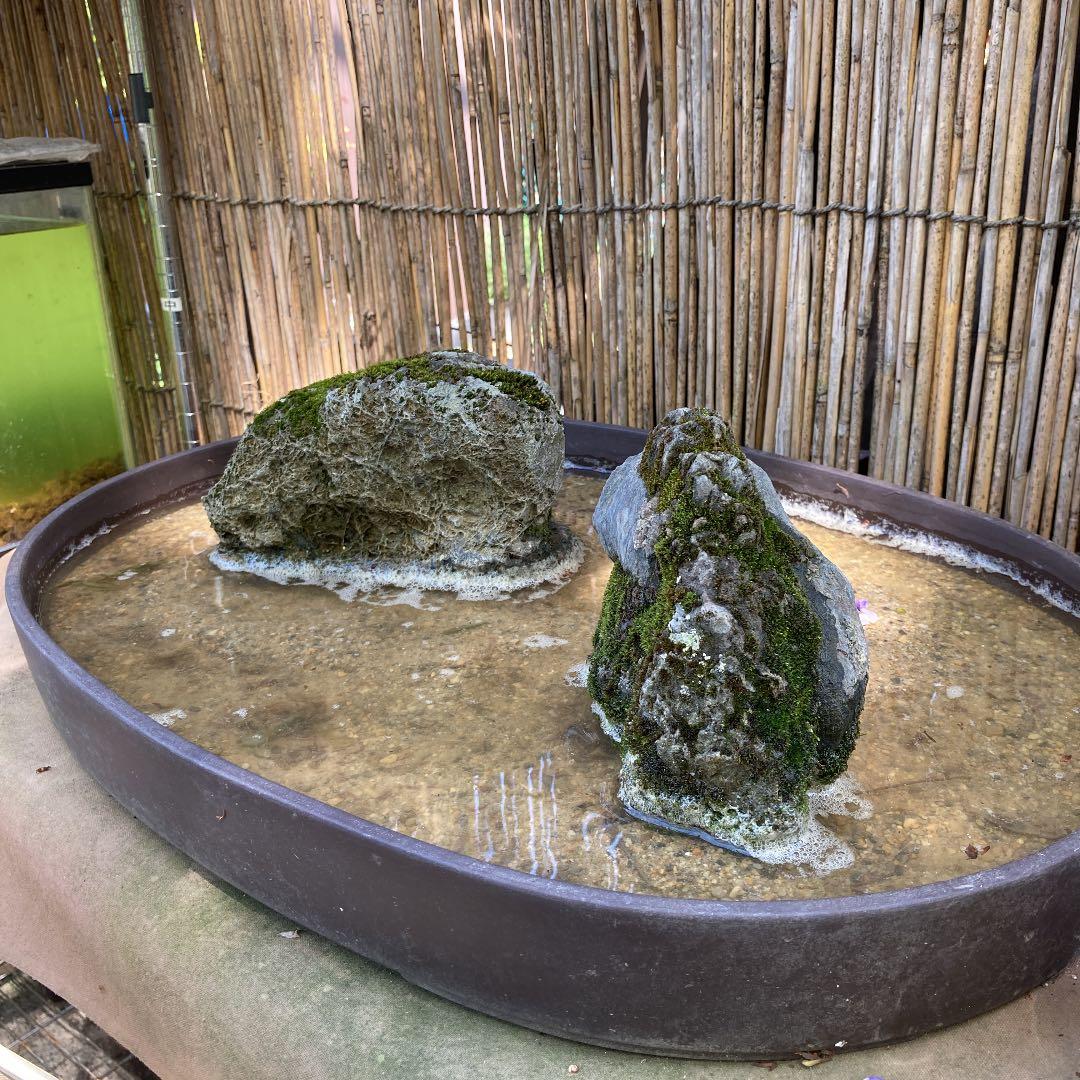 京都　貴船　糸掛石2点