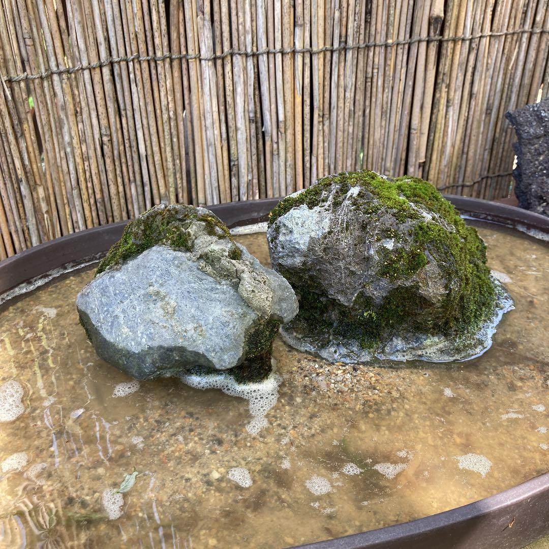 京都　貴船　糸掛石2点