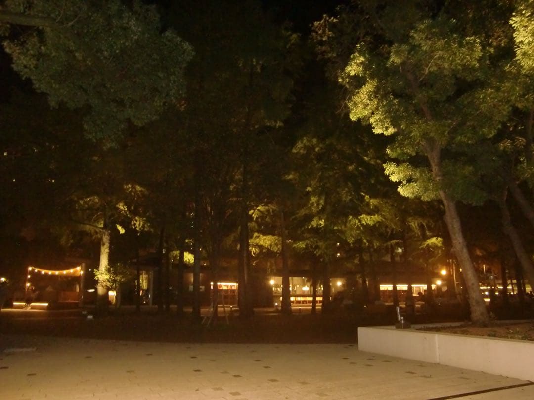 【動作OK】CASIO EXILIM EX-Z400 コンパクトデジタルカメラ