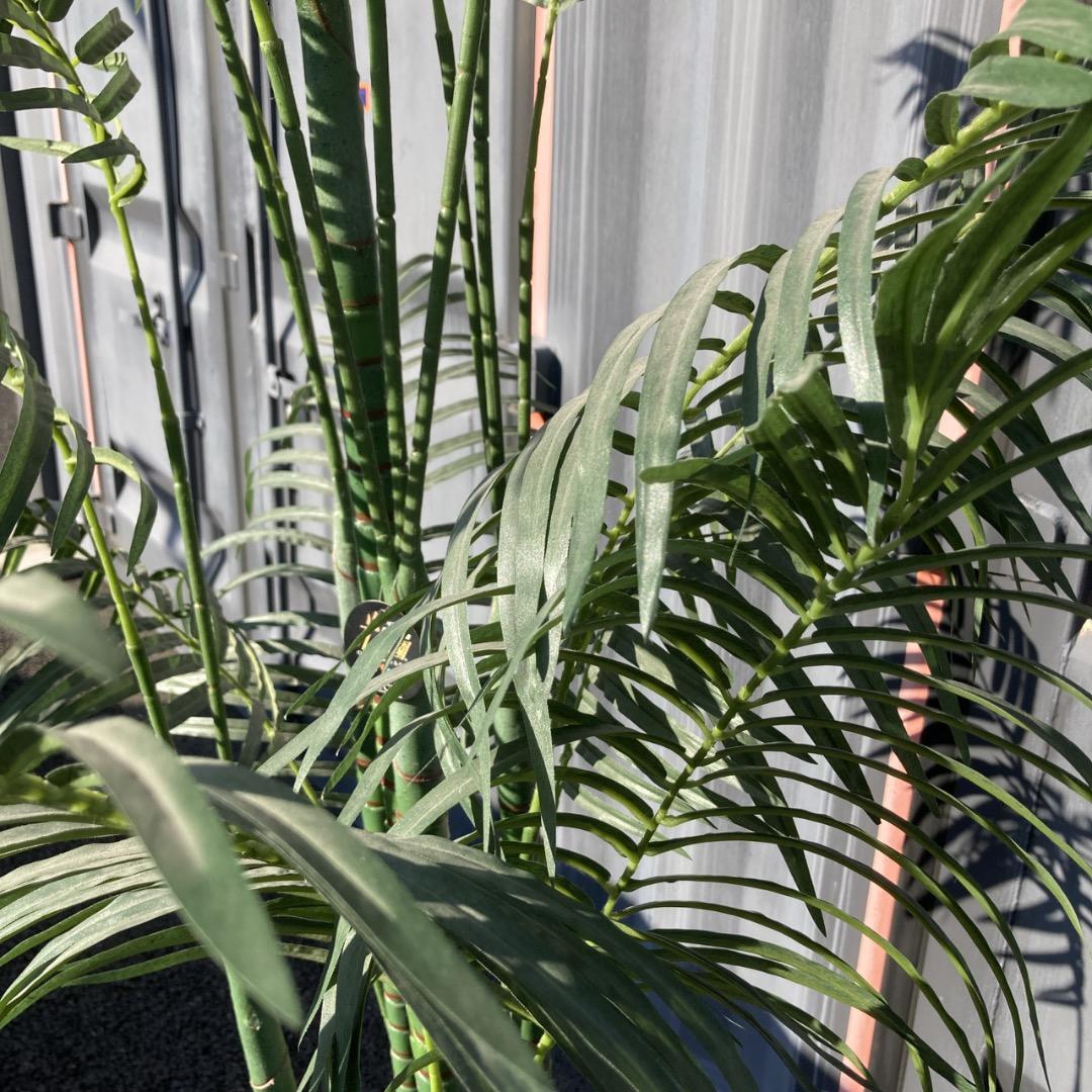 【お値下げOK】大型フェイクグリーン 光触媒人工植物 光の楽園 高さ約270cm