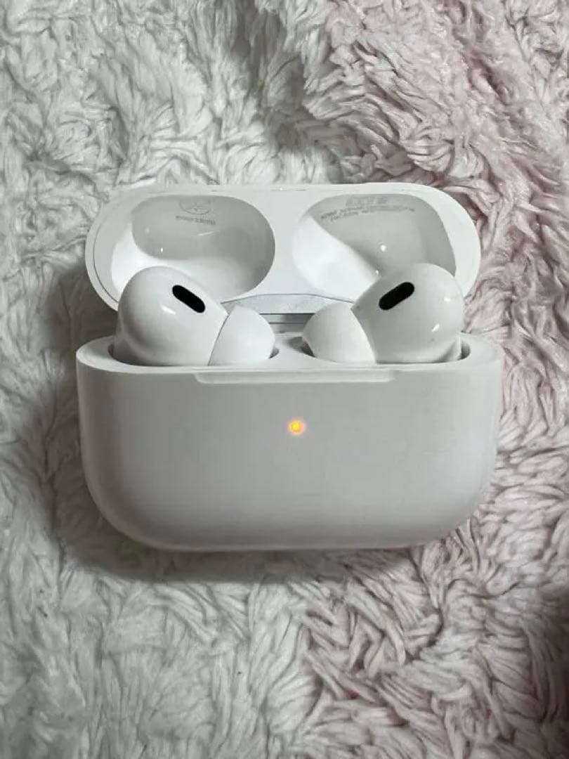 AirPods Pro 2 USB充電ケーブル未使用　外箱あり