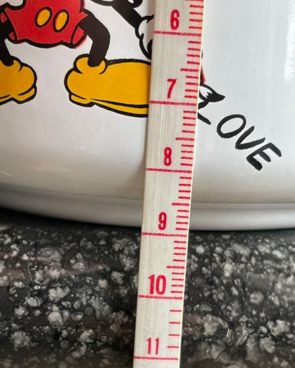 【レア品】Disney × 象印 コラボ ホーロー容器