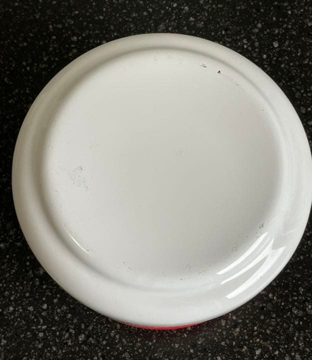 【レア品】Disney × 象印 コラボ ホーロー容器