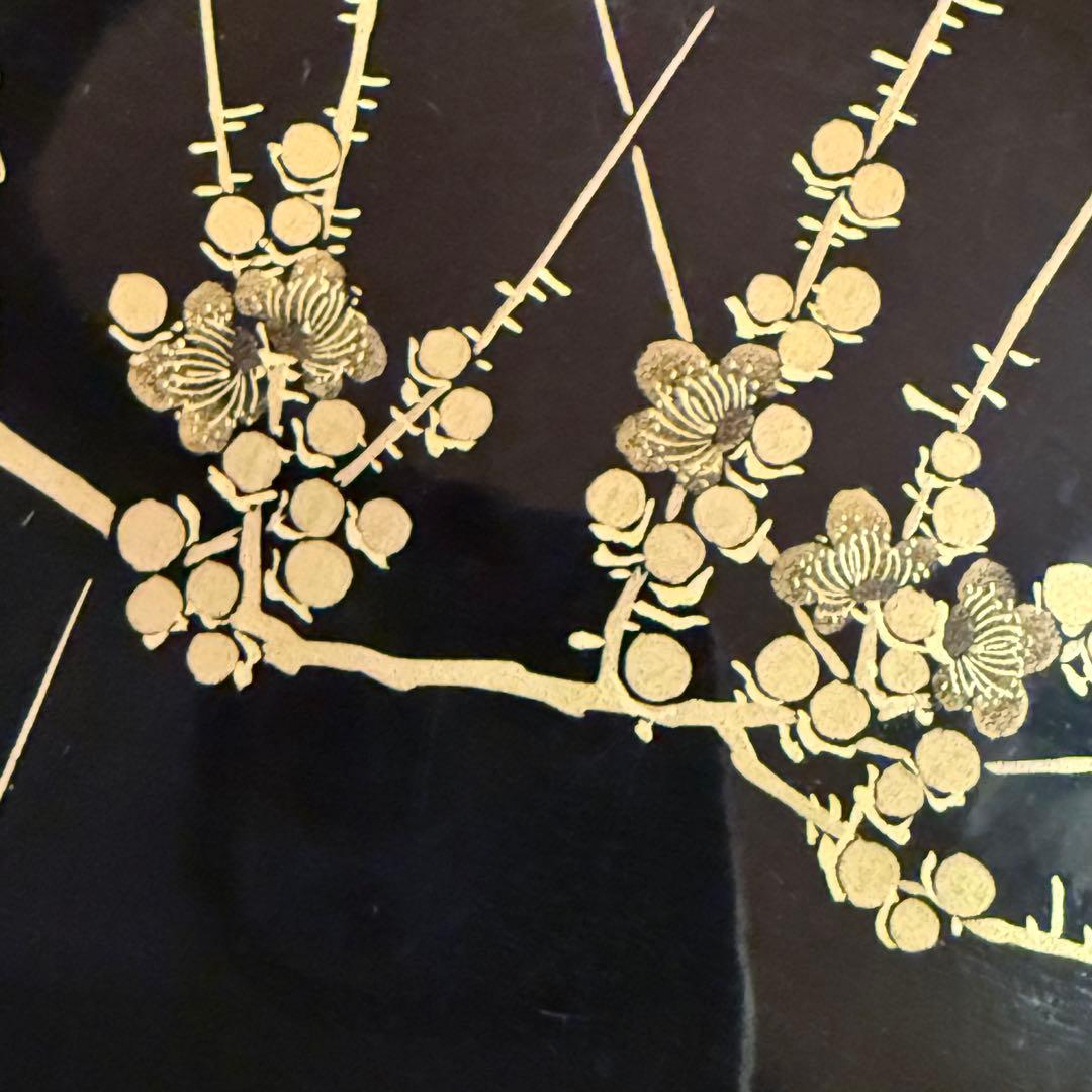 新春特別価格 ‼️茶人の心JAPAN蒔絵貴人の風雅な『四季の花』絵替木皿20客桐箱