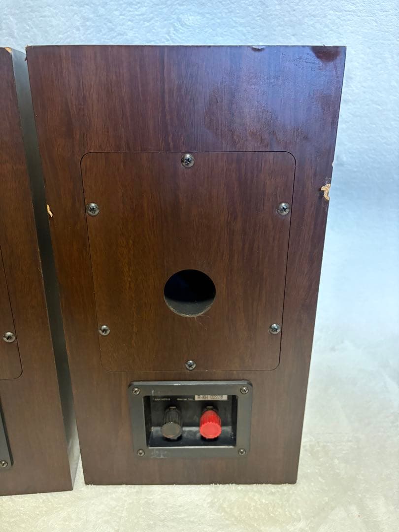 ⭐︎名器　PIONEER S-11TX