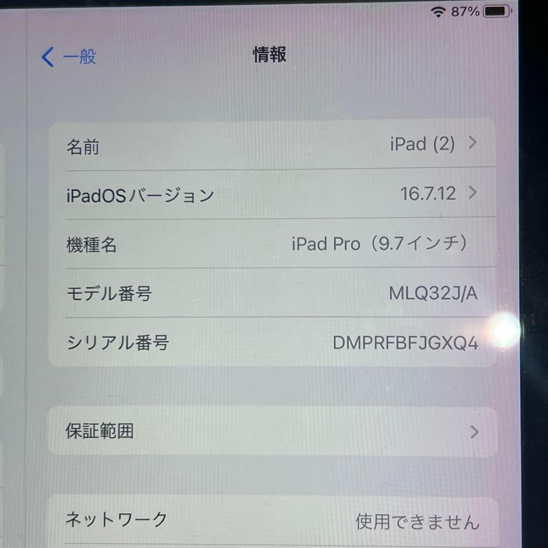 Apple iPad Pro 9.7インチ 128GB cellularモデル