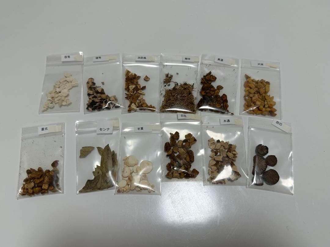 【最終処分価格❗️】生薬標本セット 75種 教示用