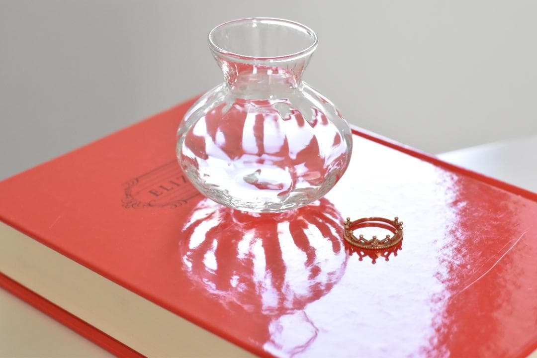 フィルムカメラ Nikon F2 Ai NIKKOR 50mm F1.4