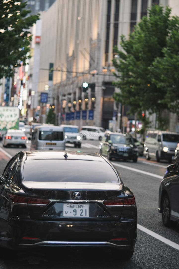 バブルボケ！Meyer TRIOPLAN 100mm F2.8 オールドレンズ