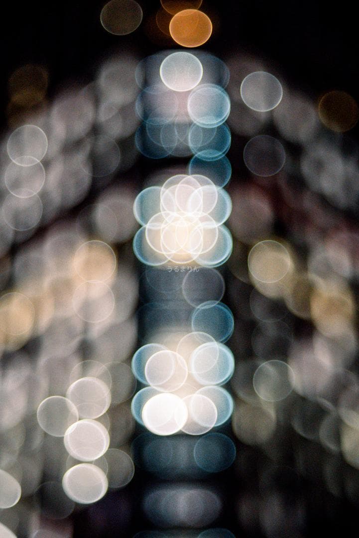 バブルボケ！Meyer TRIOPLAN 100mm F2.8 オールドレンズ