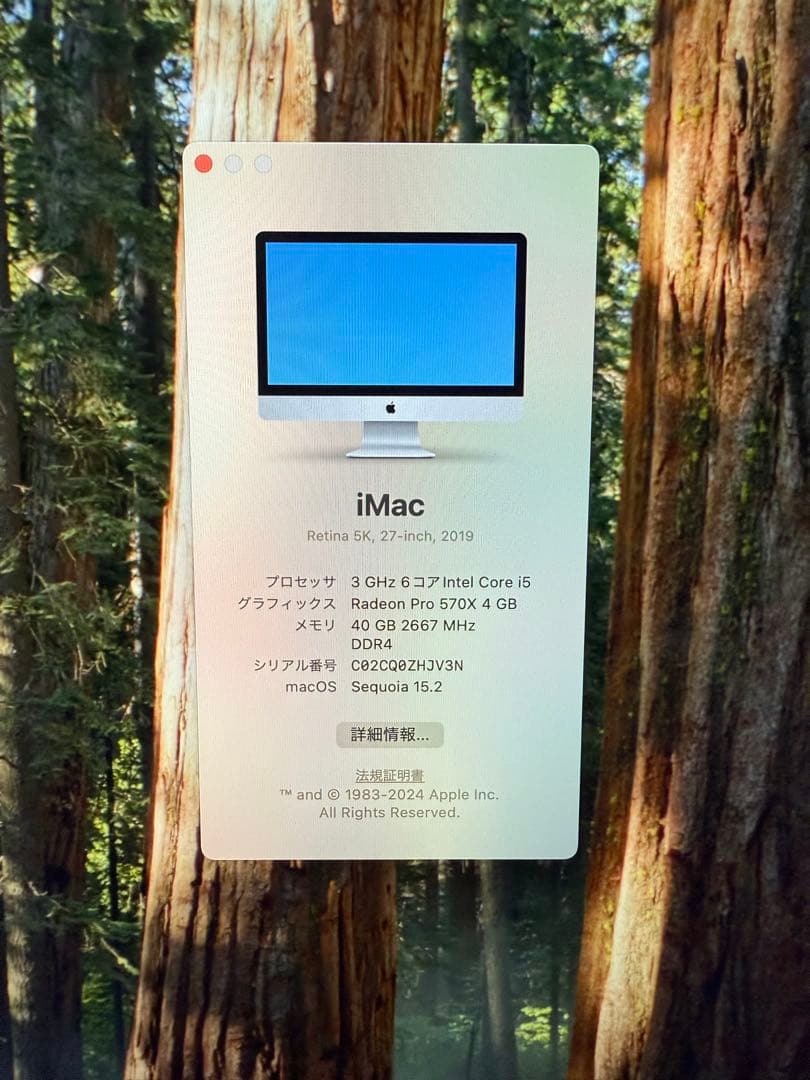 iMac Retina 5K 27インチ 2019 40GB 1TB