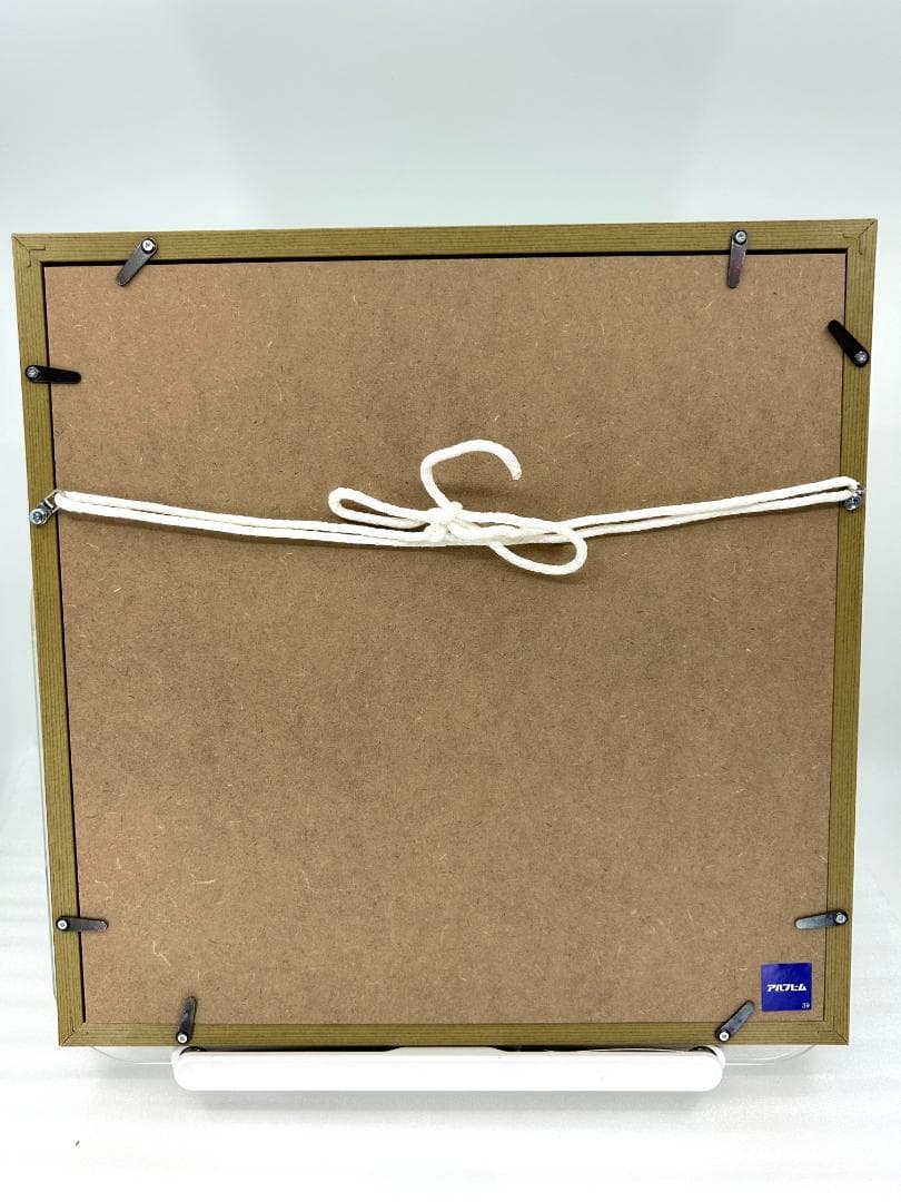 天野タケル 『Venus』複製原画サイン入り NEON GREEN +イラスト集