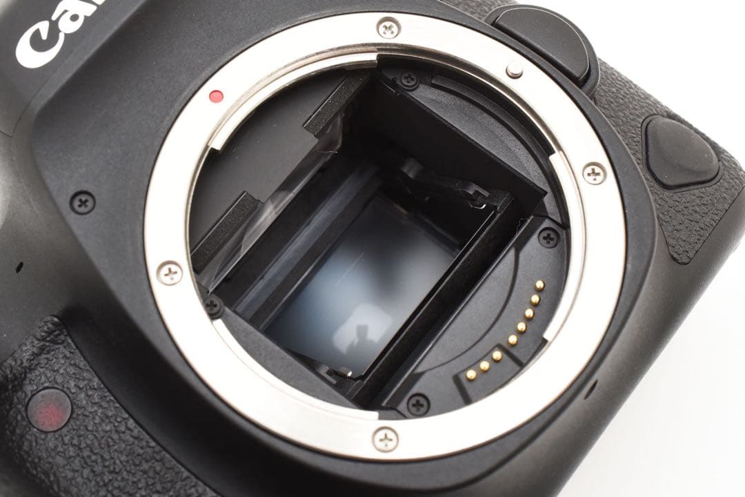 Canon EOS 6D mark II 標準&望遠&単焦点トリプルレンズセット