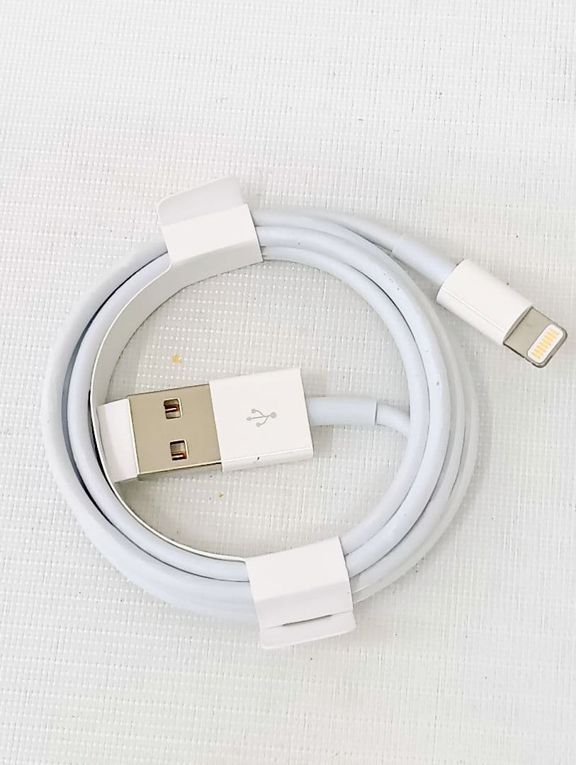 〘美品〙Apple iPhone SE　64GB　本体・充電器・イヤホン付きYK