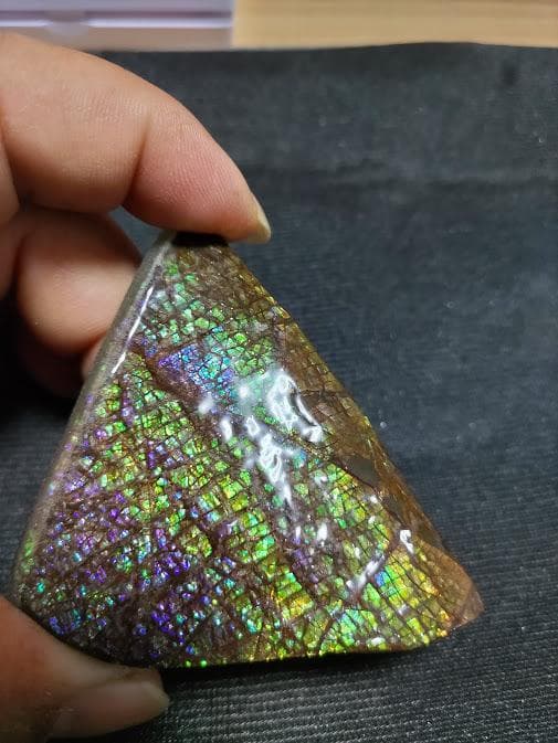 アンモライト 標本 両面 アンモナイト ドラゴンスキン おまけ