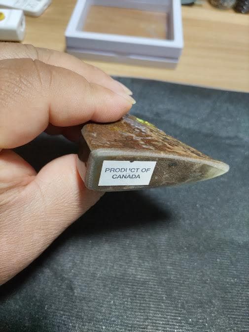 アンモライト 標本 両面 アンモナイト ドラゴンスキン おまけ