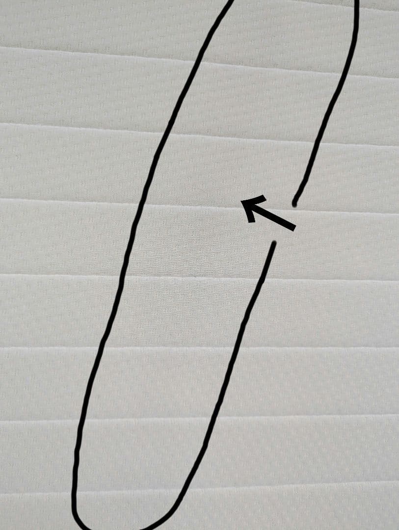 【直接引き渡し】シングルマットレス　ニトリ　Ｎスリーププレミアム