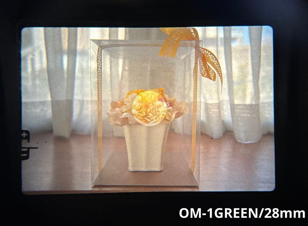 専用★OLYMPUS OM-1レッド.50mm/OM-1ライトグリーン.28mm