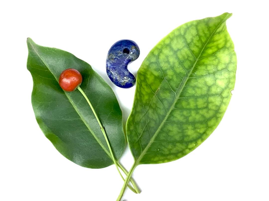 ✳希少お宝勾玉‼️ ラピスラズリ　黄鉄鉱ピカピカ　色彩良好　本物ソーティング付‼️