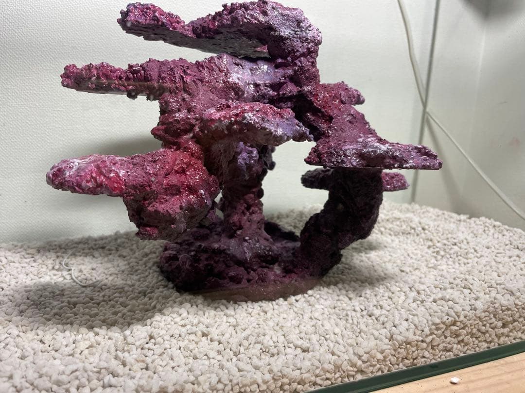 現品在庫SALE！人工ライブロック　SHR24 アク抜き済み安心塗料使用