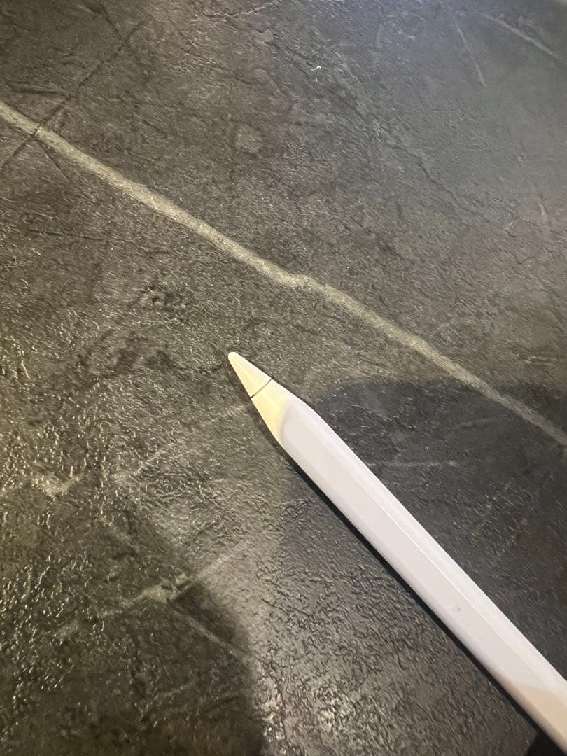 iPad Pro 12.9 第3世代Wi-Fi 256G アップル　ペンシル