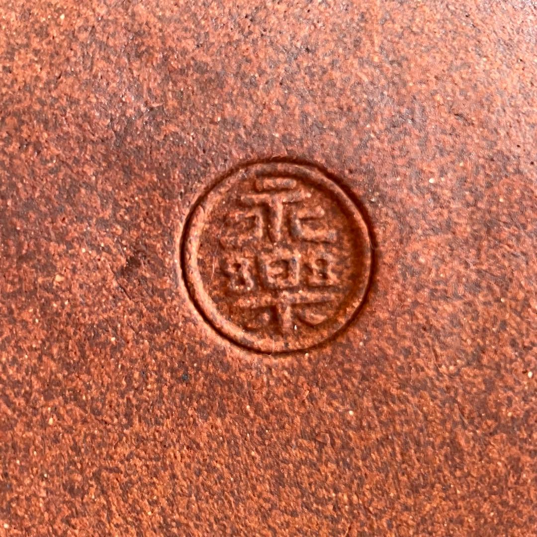 永楽善五郎 銘々皿 乾山寫絵替 5客 セット