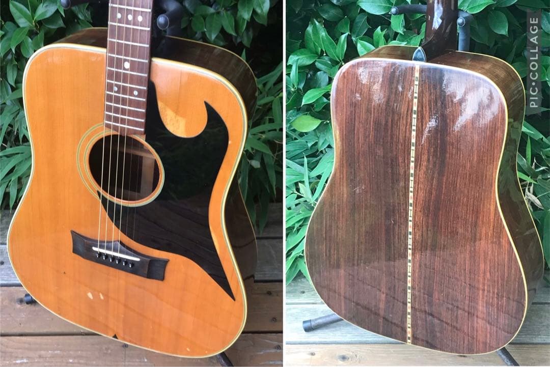 the greco Ｇ-40 ザ・グレコ