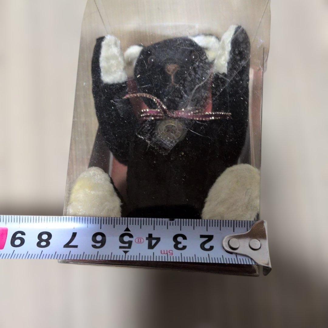 希少　「Petit Loup（プティルウ）」PETIT TEDDY