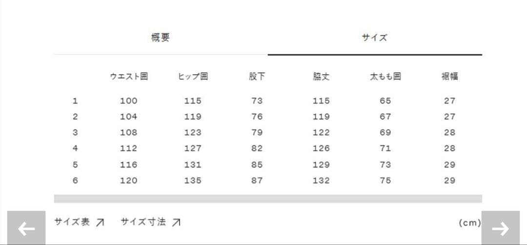 Goldwin 2025 GORE-TEX 3L Cargo Bib（Mサイズ)