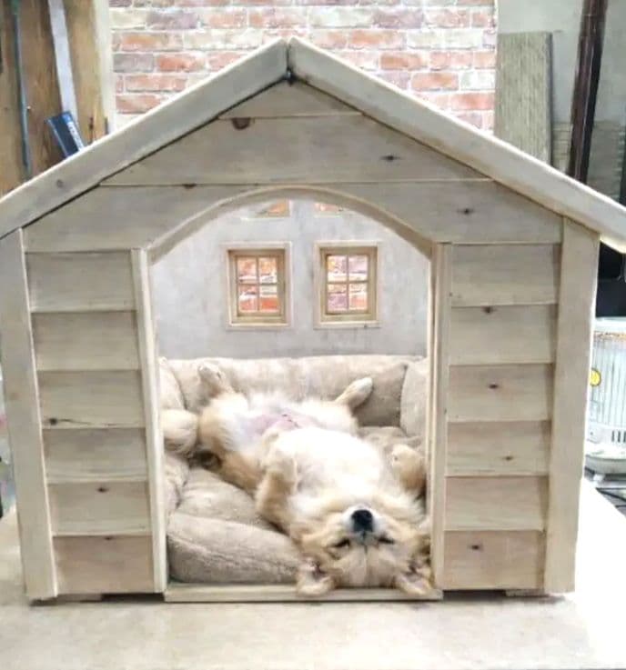 職人手作り 木製ペットハウス「Kenno」初号機　小型犬・猫用／室内用／特典付