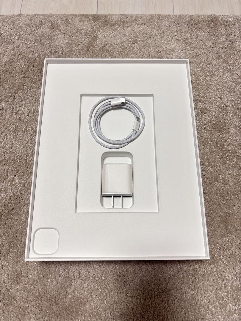 iPad Pro 12.9インチ　第五世代　256GB Wi-Fiモデル