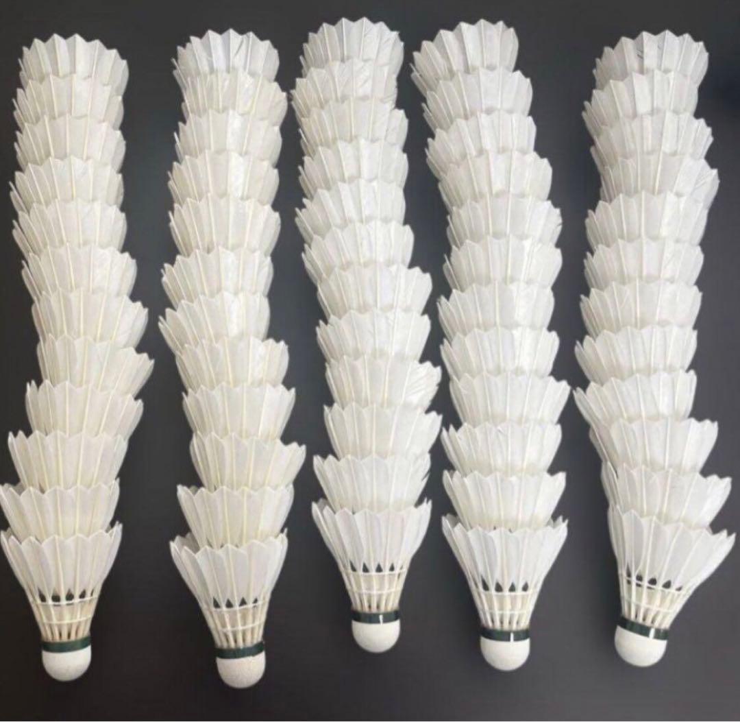 YONEX AEROSENS AS-500 10ダースNo.4