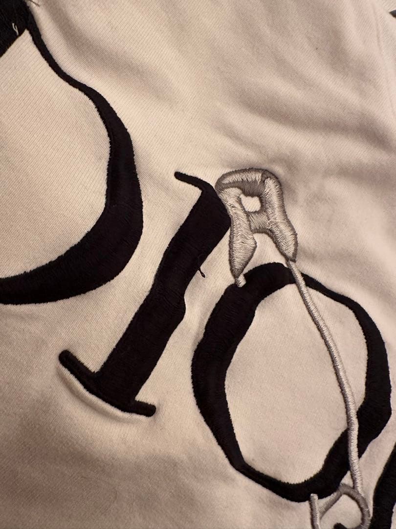 Dior ロゴ刺繍 スウェット