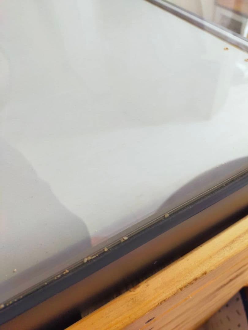 ガラスショーケース