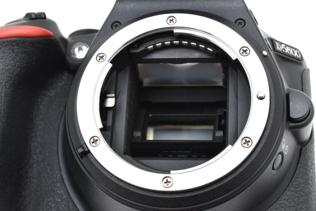 美品　ニコン D5600 ダブルズーム/SD64GB/専用ガラスフィルム/