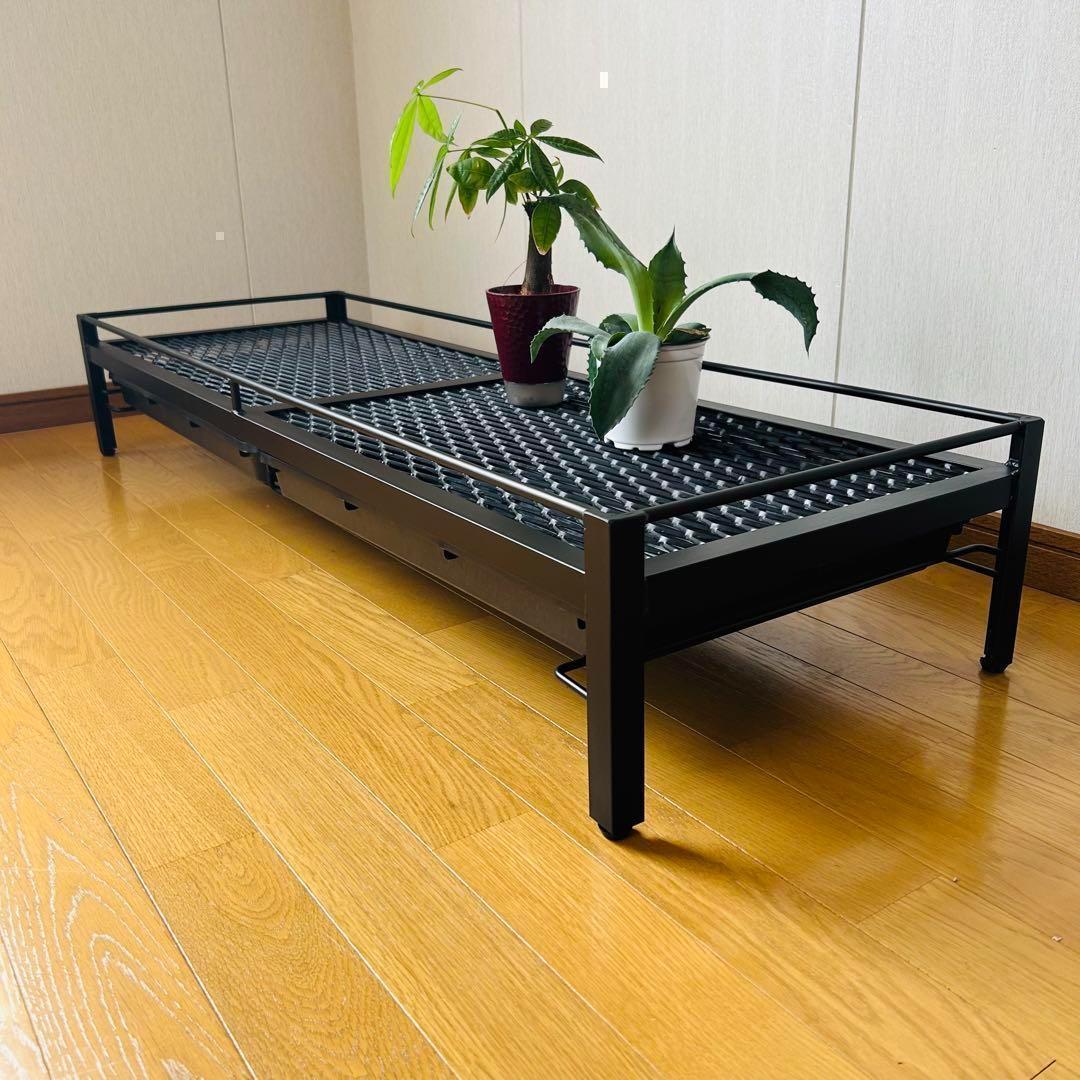 ☆年末年始セール　植物棚　シェルフ　アガペラック 124cm x 41cm