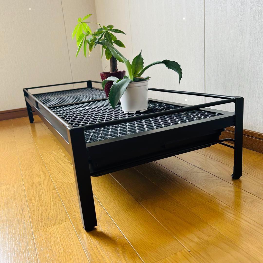 ☆年末年始セール　植物棚　シェルフ　アガペラック 124cm x 41cm