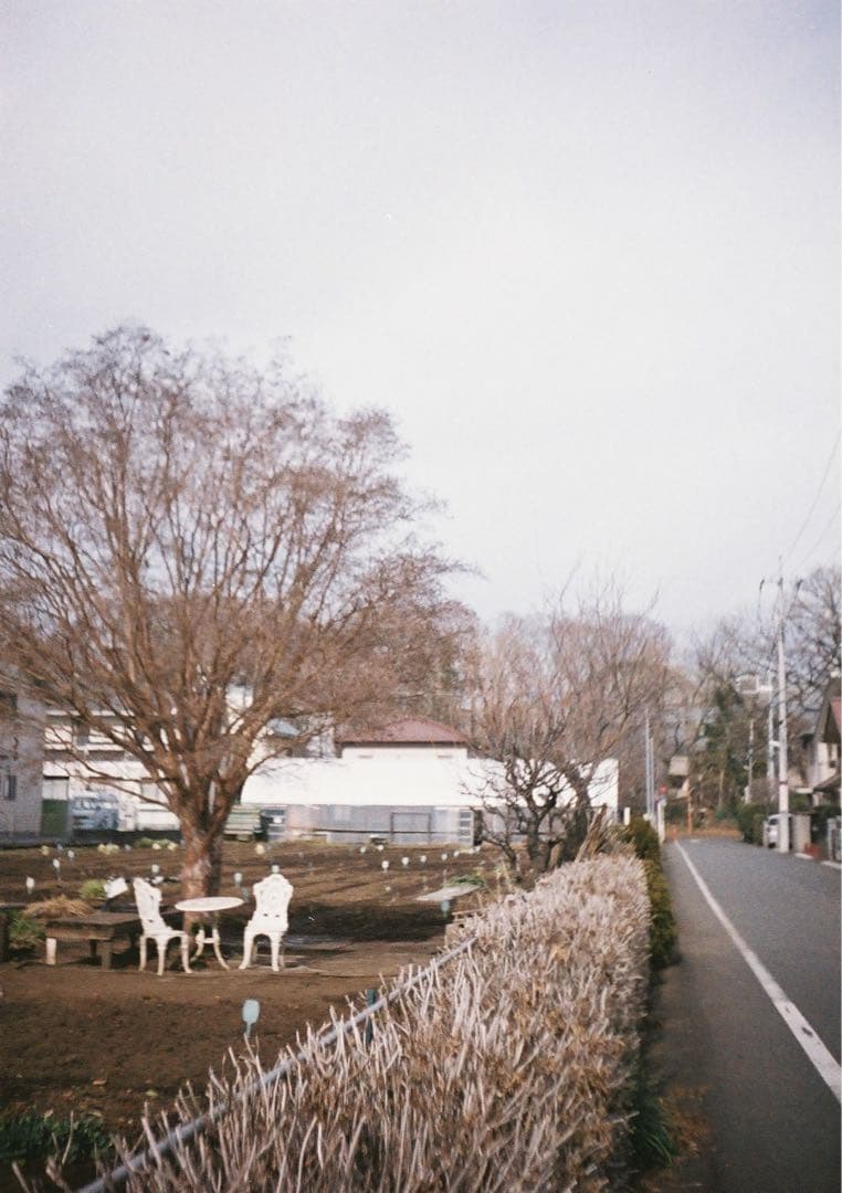 【訳あり＊試写あり】リコーオートハーフS