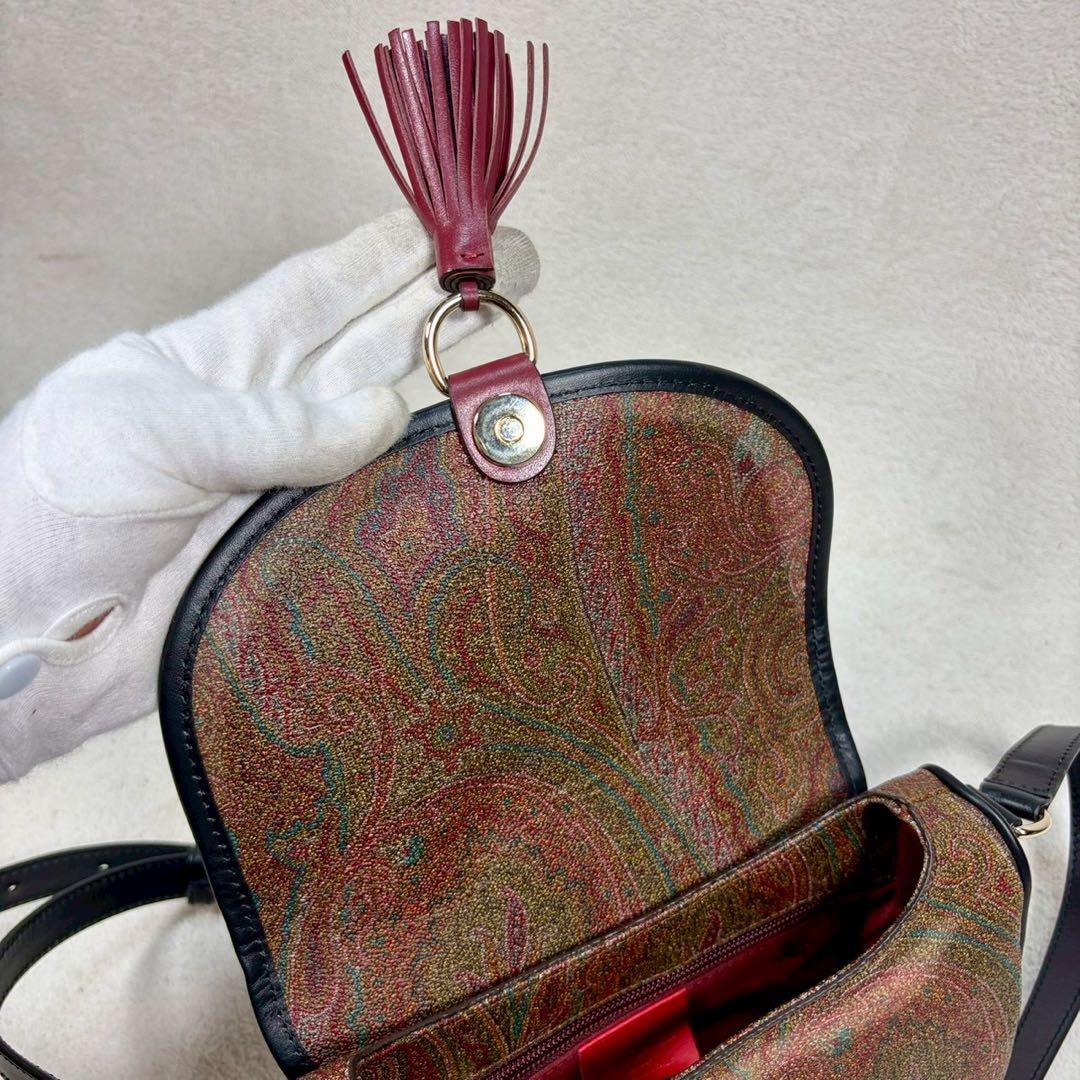 【未使用級✨】エトロ ショルダー　タッセル ペイズリー柄 レザー PVC ミニ