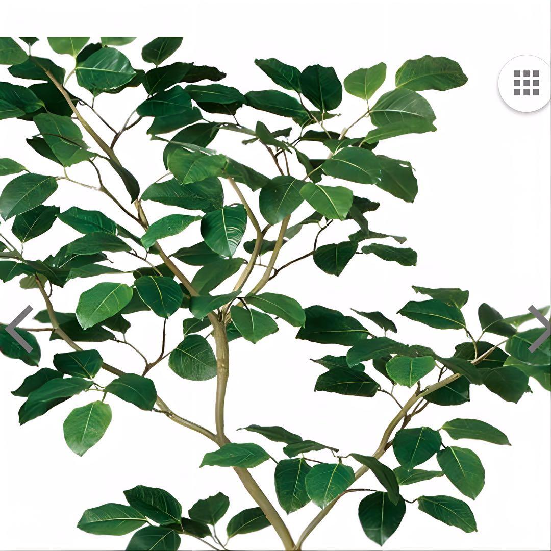 光触媒　人工観葉植物　ウォールグリーン　フェイクグリーン　ベンガルボタイジュ