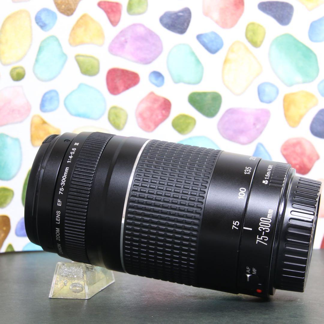 ♥︎◇カビクモリなし ◇Canon 75-300mm F4-5.6 Ⅲ